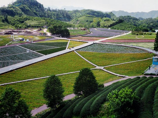 The Flower Town (Huatian Town) in Wuyi