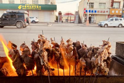 Laomashi Barbecue Noodle House