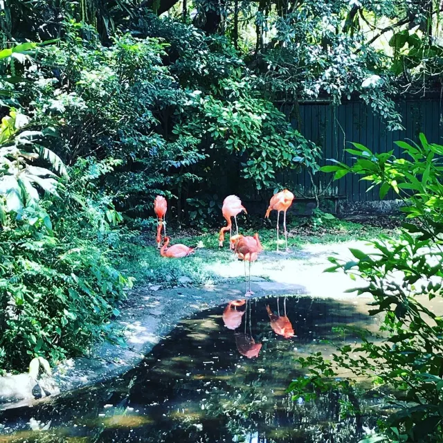 【大埔好去處】5個必去大埔景點！打卡/親親大自然/懷緬歷史景點