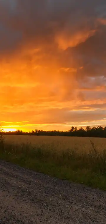 โรงแรมในอิโลอิโล