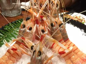 Fine Sushi Bar