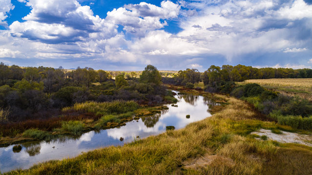 Cangtou River Ecological Corridor