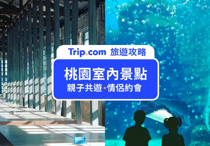 【2025 桃園室內景點推薦】不怕下雨！親子、情侶都愛的 15 個桃園室內景點