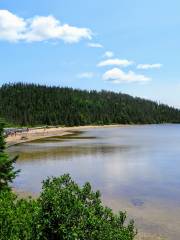 Terra Nova National Park