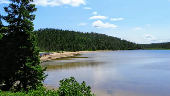 Terra Nova National Park