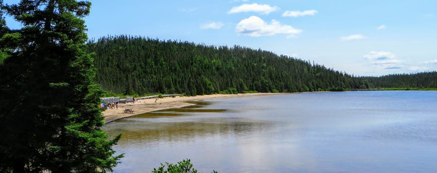 Terra Nova National Park