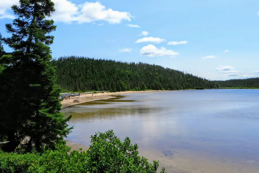 Terra Nova National Park