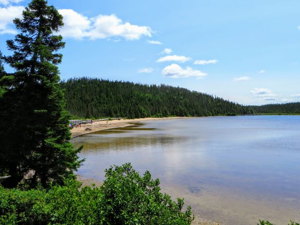 Terra Nova National Park