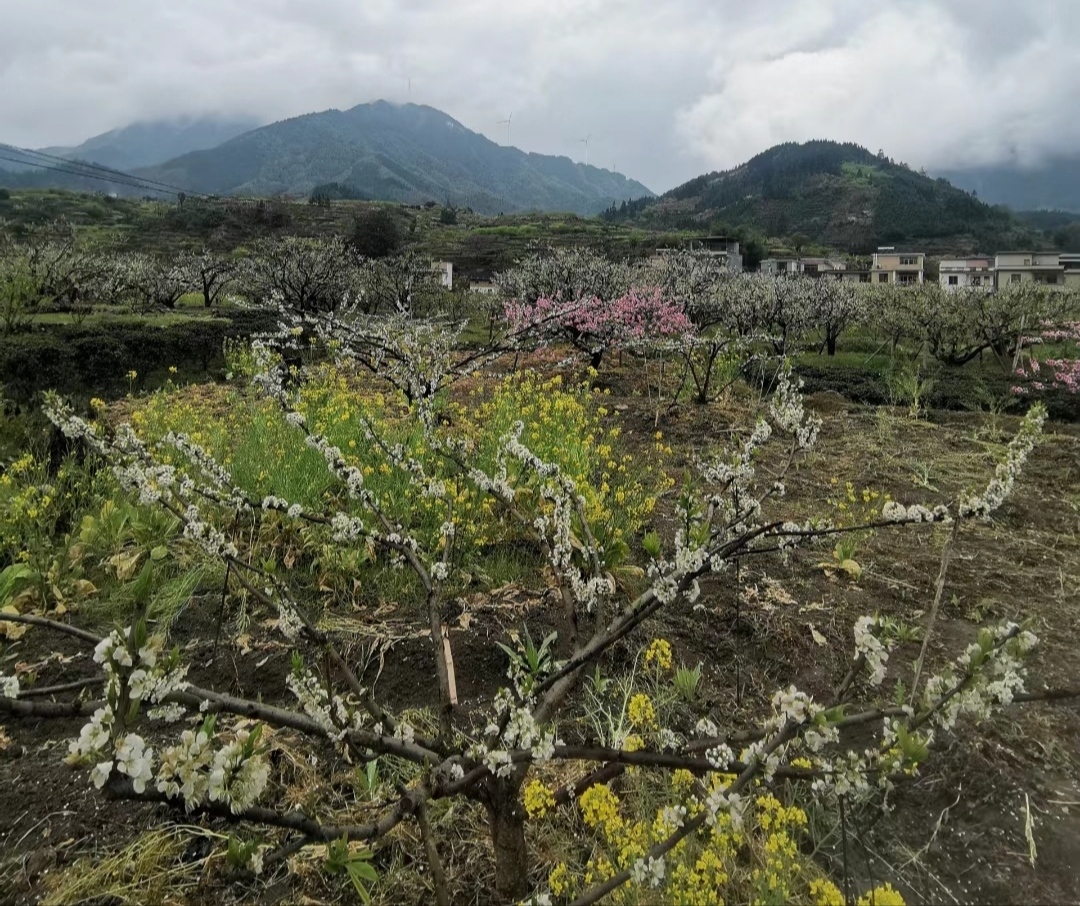 Lechangjiufengshan Mountain
