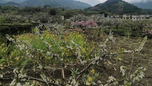 Lechangjiufengshan Mountain
