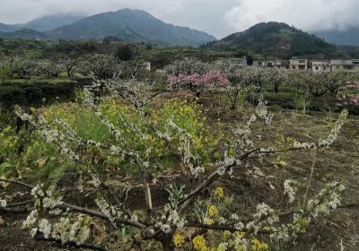 Lechangjiufengshan Mountain