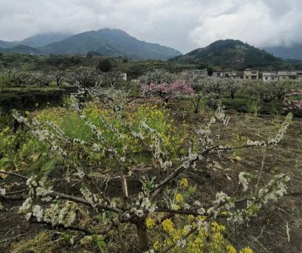 Lechang Jiufeng Mountain