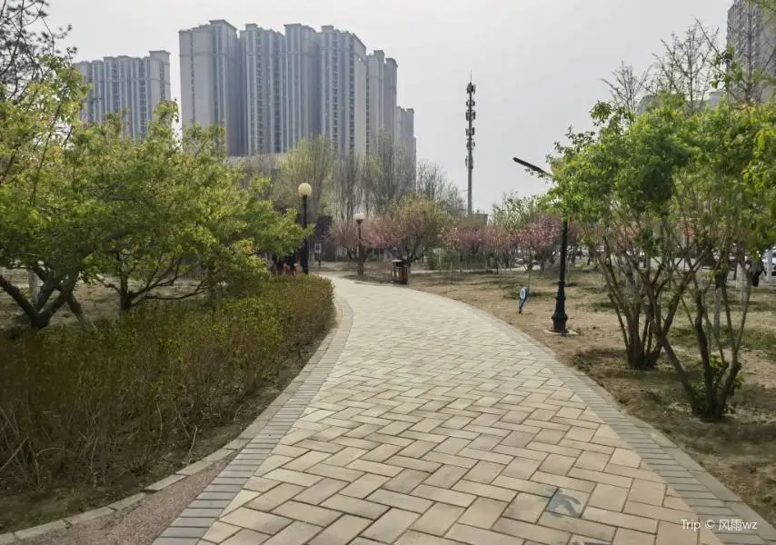 Xuefu Park