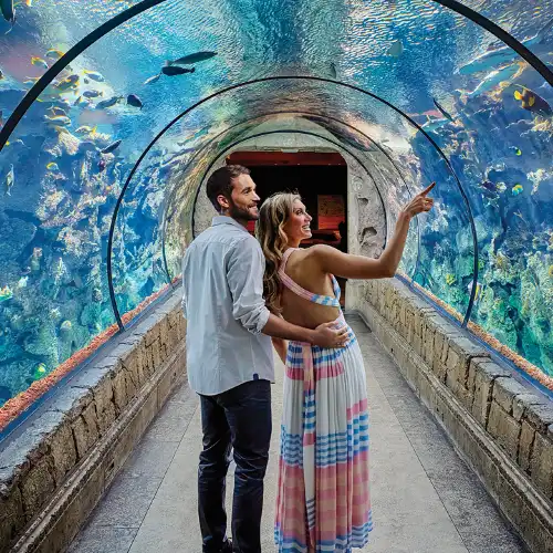 Popular Family-friendly Attractions in Las Vegas