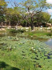 Parque Ecológico Del Poniente