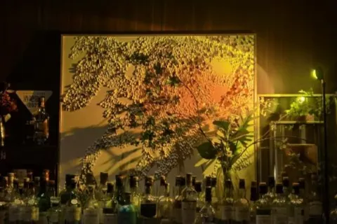 Maise Lounge