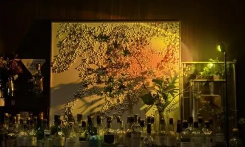 Maise Lounge