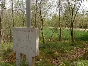 大鞏山森林公園