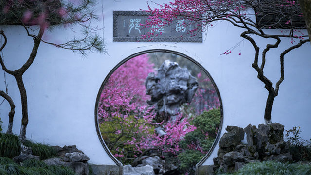 Plum Blossom Viewing in Hangzhou