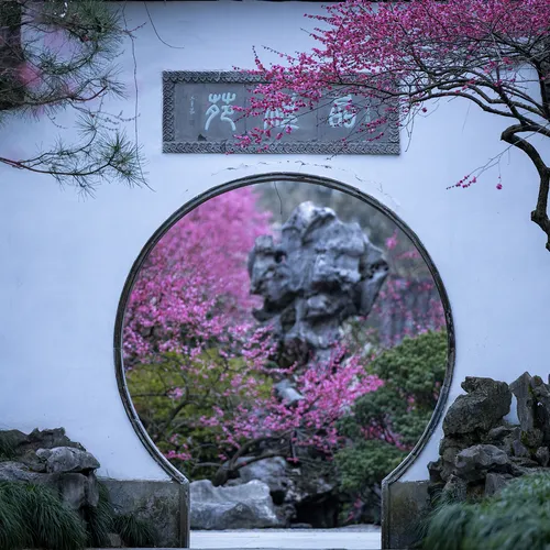 Plum Blossom Viewing in Hangzhou