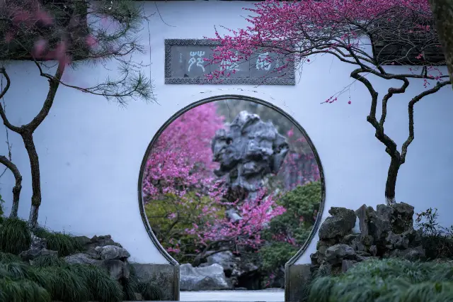 Plum Blossom Viewing in Hangzhou