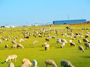 Амгуань