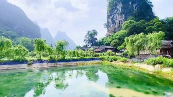 yin zi yan feng jing qu - yin long gu zhai