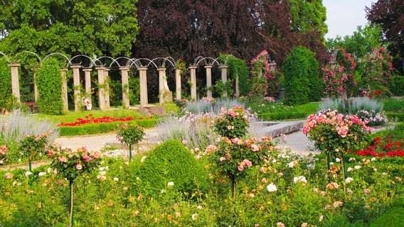 Unterer Schlossgarten