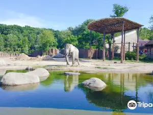 克利夫蘭動物園