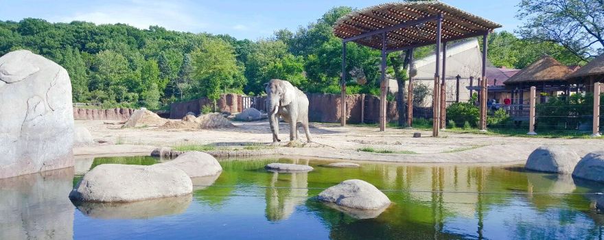 Cleveland Metroparks Zoo