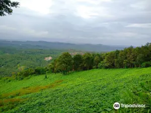 Cheruppadi Mala