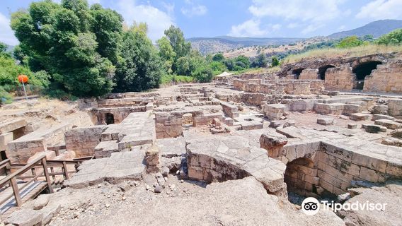 Hermon Stream Nature Reserve