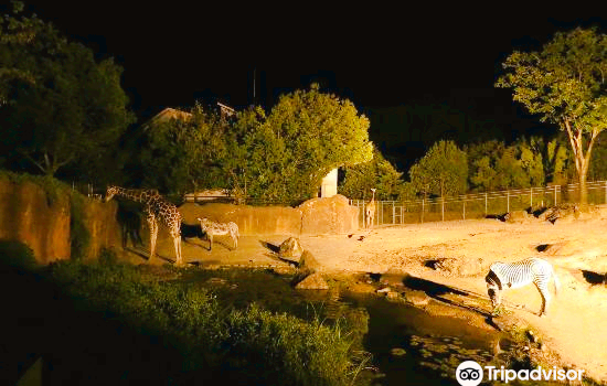 Ishikawa Zoo