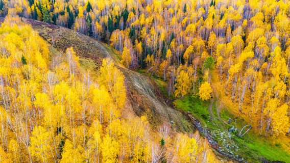 Altay Prefecture