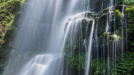 Badagongshan National Nature Reserve