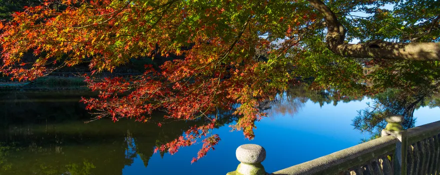 Lushan National Park
