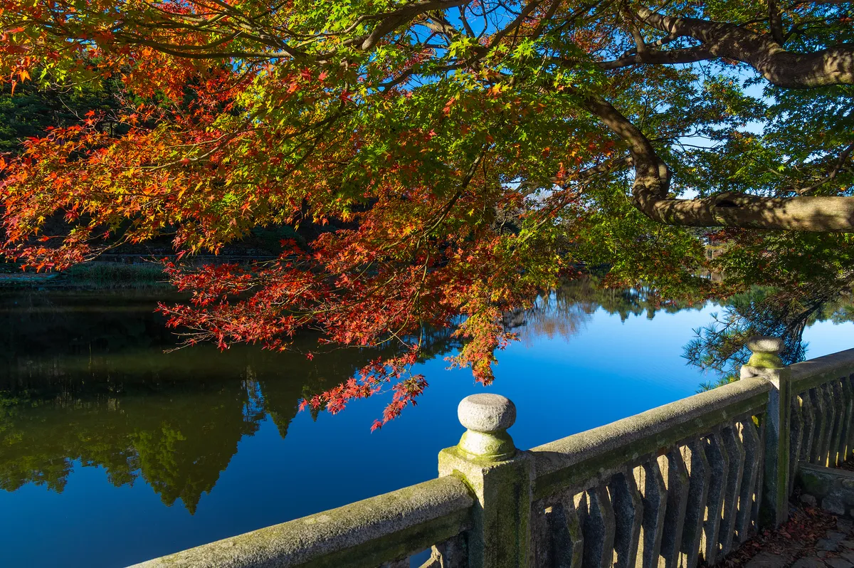 Lushan National Park