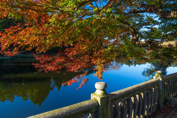 Lushan National Park