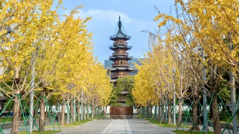 Longhua Temple attraction in Shanghai