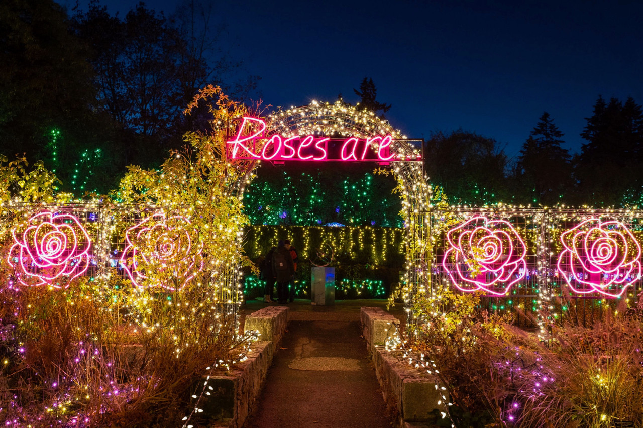 VanDusen Festival of Lights | Vancouver