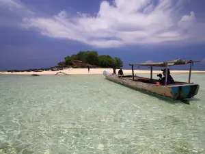 Adonara