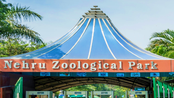 Nehru Zoological Park