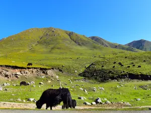 Laji Mountain Pass