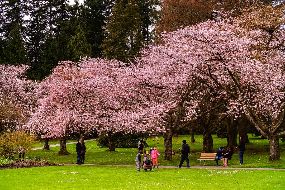3 月旅行好去處, 溫哥華