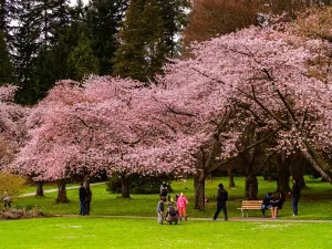 史丹利公園