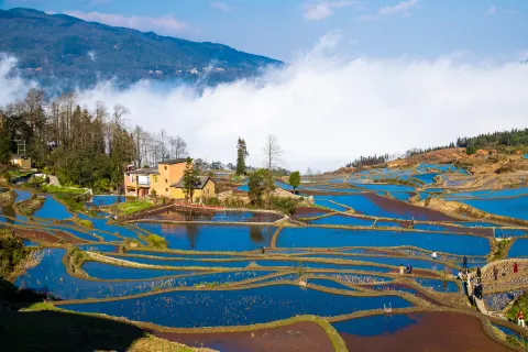 Yuanyang Hani Terrace
