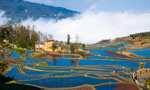 Yuanyang Hani Terrace