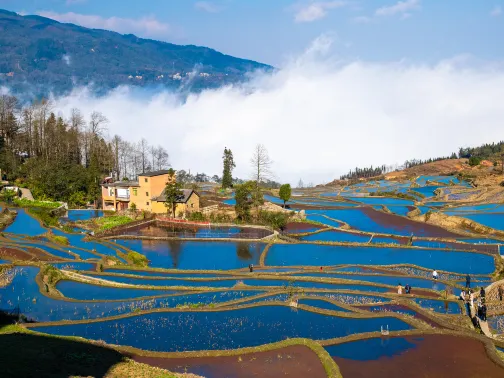 元陽哈尼梯田