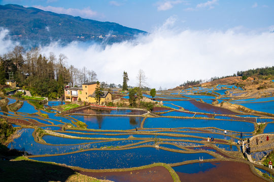 Hani terrace of Yuanyang