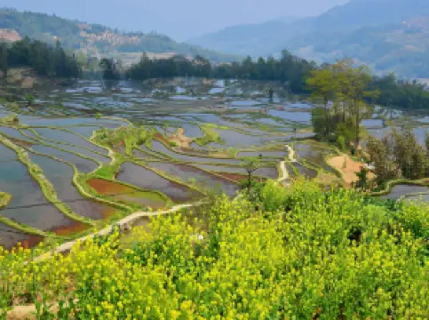 สนามบันไดหยวนหยางฮันนี